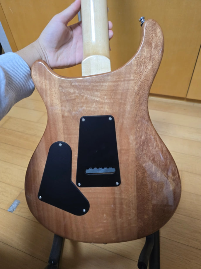 prs se custom 24 일렉기타